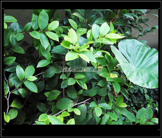 ���ȵ���������..P2,��ں���~