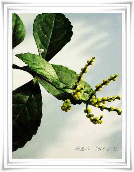 ���ȵ���������..P2,��ں���~