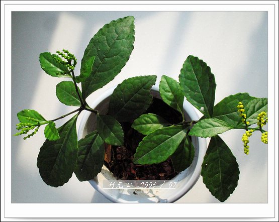 ���ȵ���������..P2,��ں���~