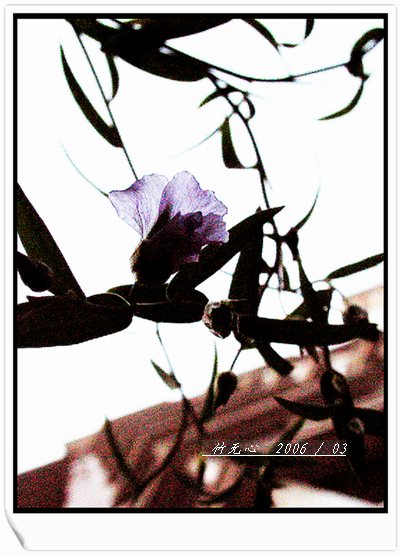 ���ȵ���������..P2,��ں���~