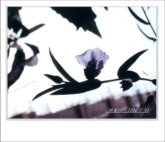 ���ȵ���������..P2,��ں���~