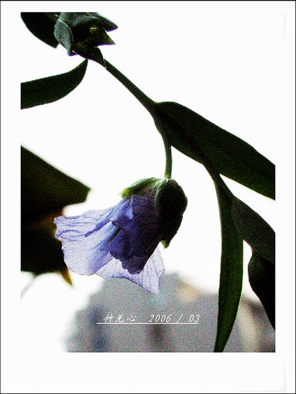 ���ȵ���������..P2,��ں���~