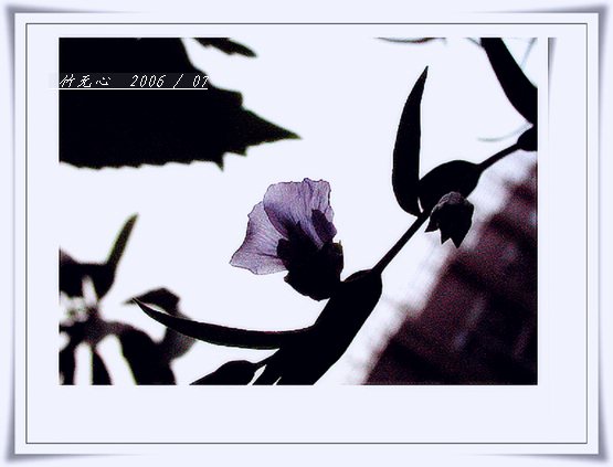 ���ȵ���������..P2,��ں���~