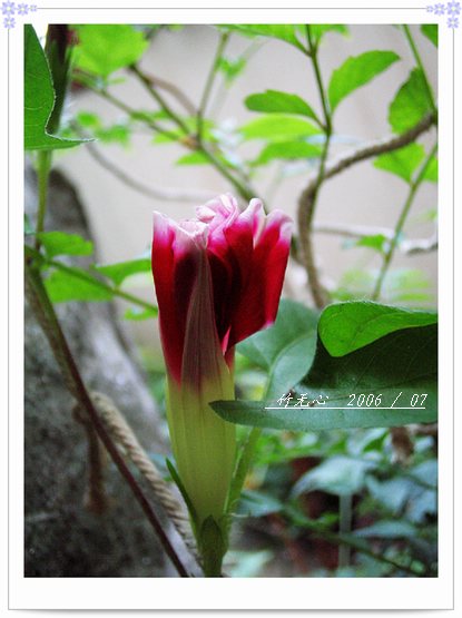 ���ȵ���������..P2,��ں���~