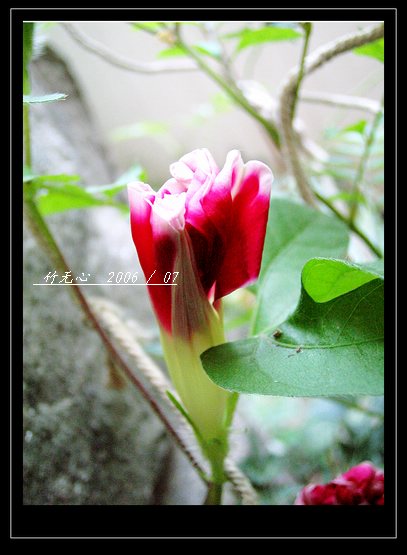 ���ȵ���������..P2,��ں���~