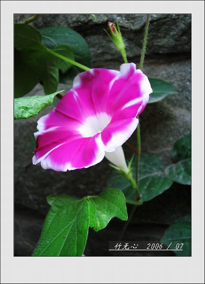 ���ȵ���������..P2,��ں���~