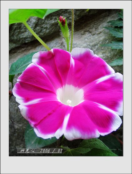 ���ȵ���������..P2,��ں���~