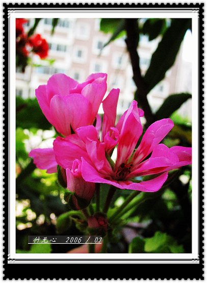 ���ȵ���������..P2,��ں���~