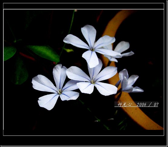 ���ȵ���������..P2,��ں���~