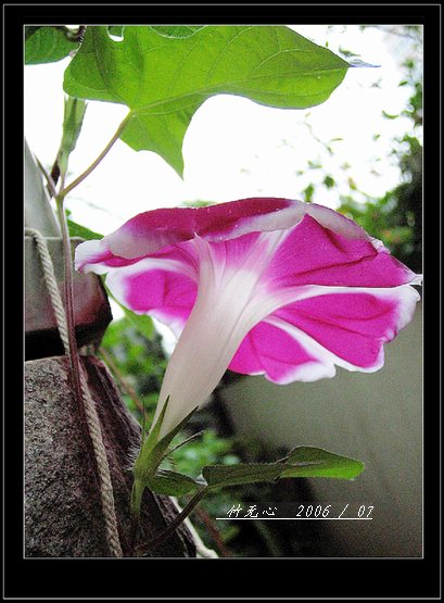 ���ȵ���������..P2,��ں���~