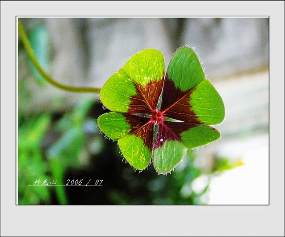 ���ȵ���������..P2,��ں���~