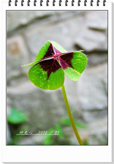 ���ȵ���������..P2,��ں���~