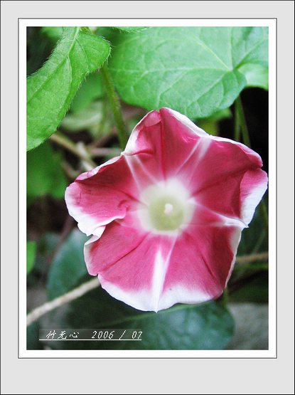 ���ȵ���������..P2,��ں���~