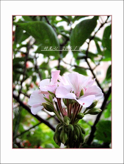 ���ȵ���������..P2,��ں���~