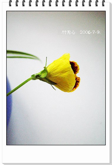 ���ȵ���������..P2,��ں���~