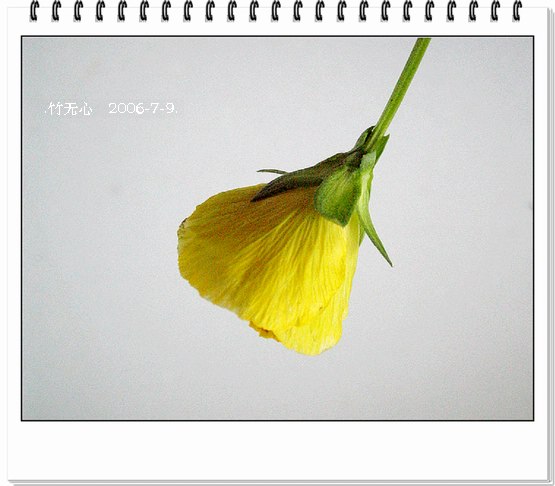 ���ȵ���������..P2,��ں���~