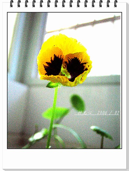 ���ȵ���������..P2,��ں���~