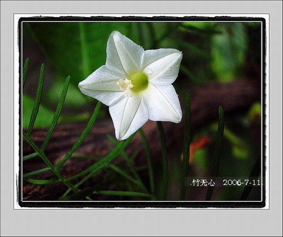 ���ȵ���������..P2,��ں���~