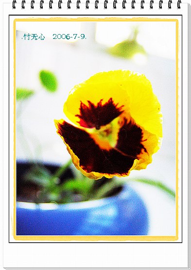 ���ȵ���������..P2,��ں���~