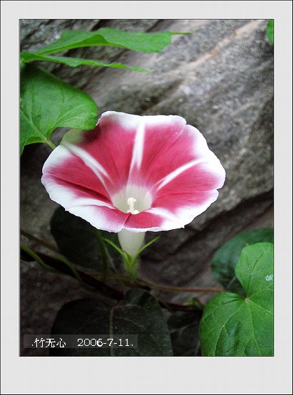 ���ȵ���������..P2,��ں���~