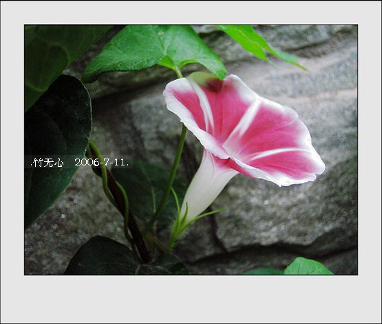 ���ȵ���������..P2,��ں���~