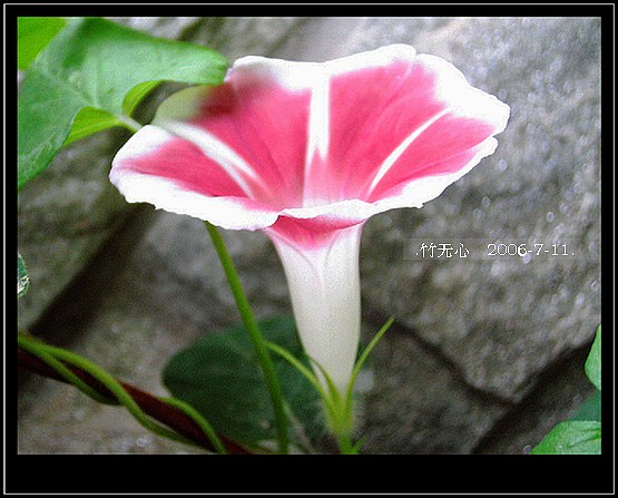 ���ȵ���������..P2,��ں���~