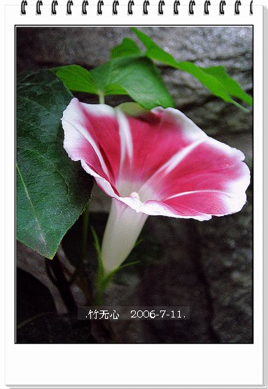 ���ȵ���������..P2,��ں���~