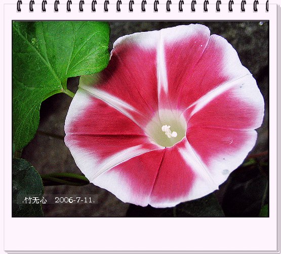 ���ȵ���������..P2,��ں���~