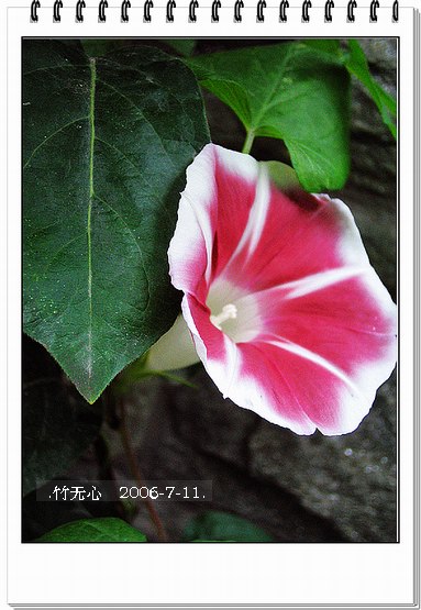 ���ȵ���������..P2,��ں���~