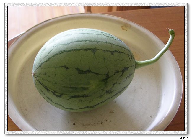 ���ֵ�����