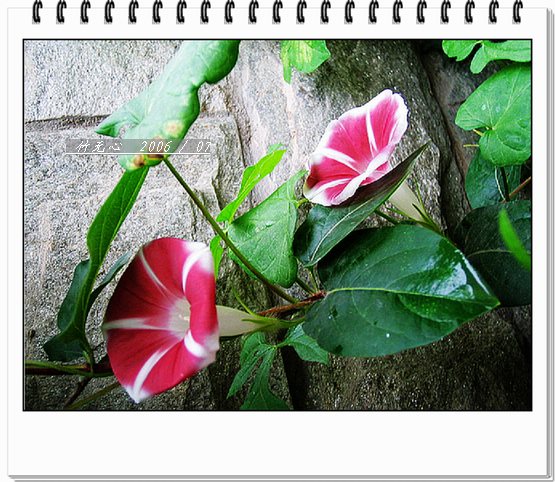 ���ȵ���������..P2,��ں���~