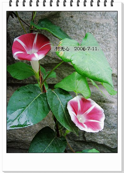 ���ȵ���������..P2,��ں���~