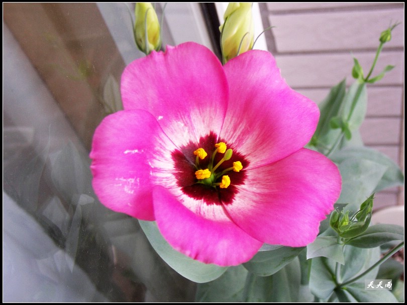 �ҵ���۹����ڿ��ˣ��ʹ�ҵĶ���ͬɫ��