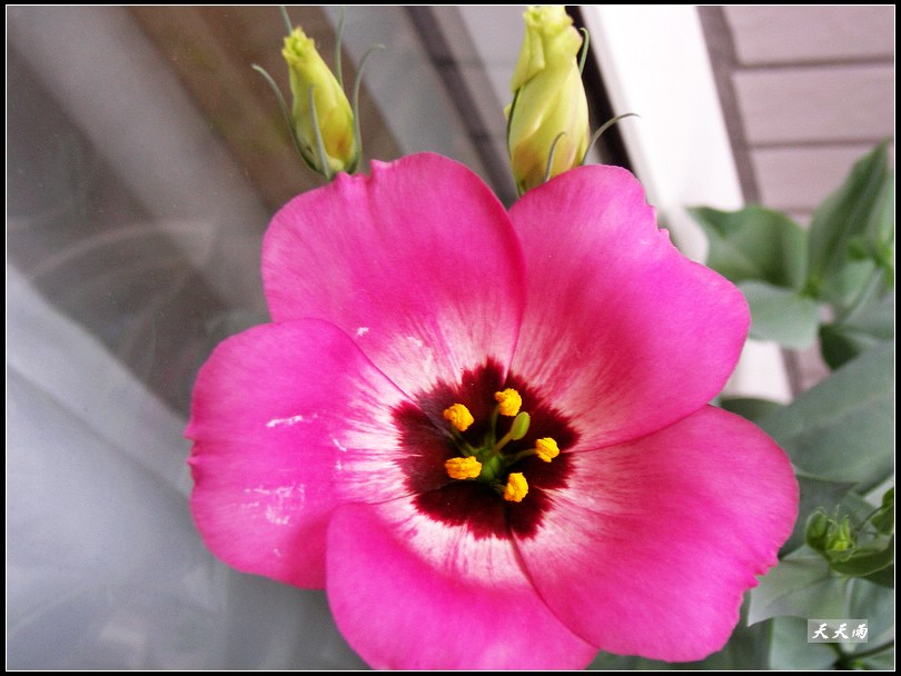 �ҵ���۹����ڿ��ˣ��ʹ�ҵĶ���ͬɫ��