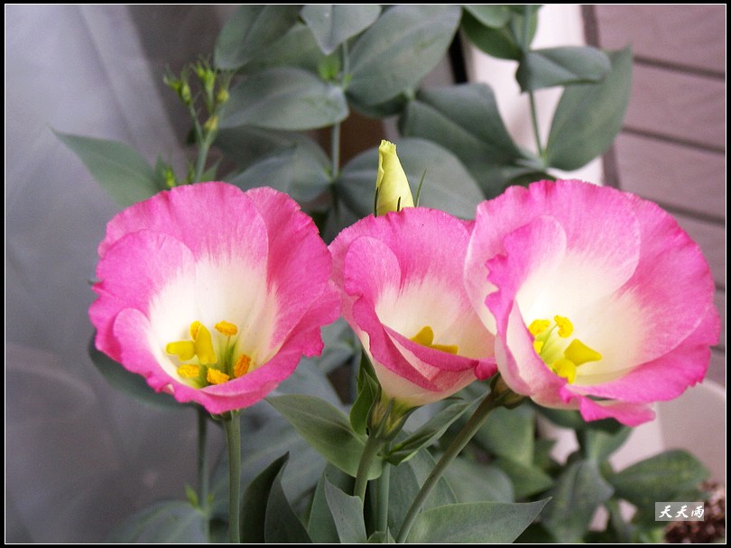 �ҵ���۹����ڿ��ˣ��ʹ�ҵĶ���ͬɫ��