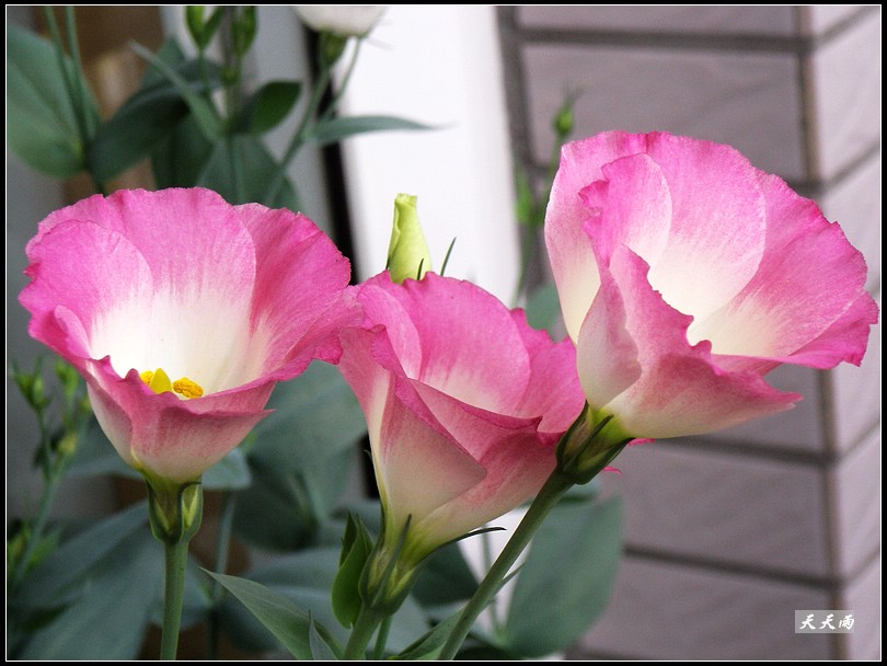 �ҵ���۹����ڿ��ˣ��ʹ�ҵĶ���ͬɫ��