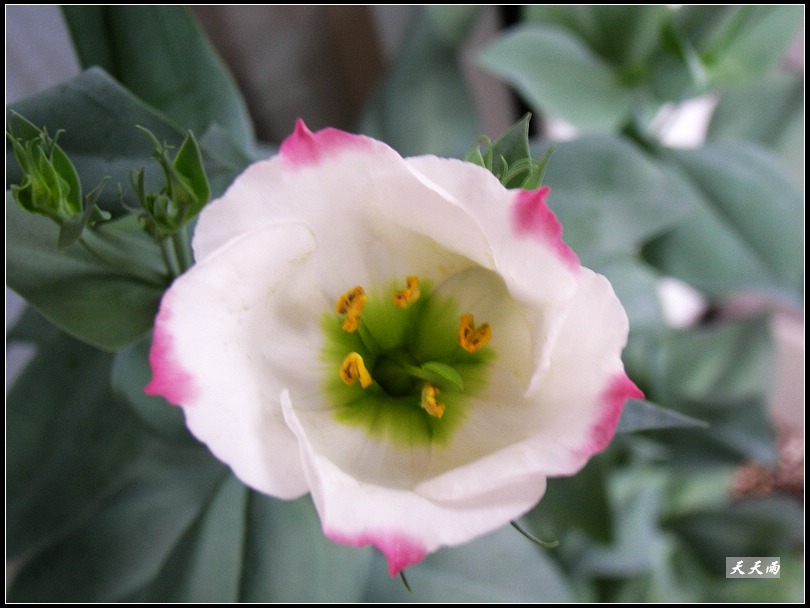 �ҵ���۹����ڿ��ˣ��ʹ�ҵĶ���ͬɫ��