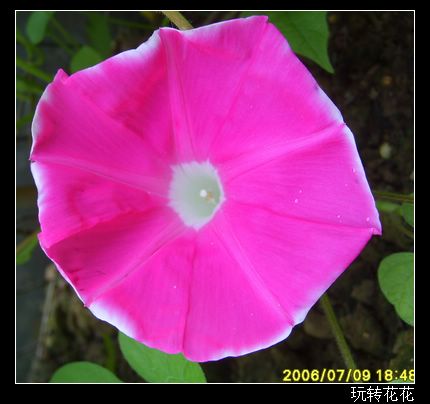 �Ҽҵ�¶̨��7.3���£�