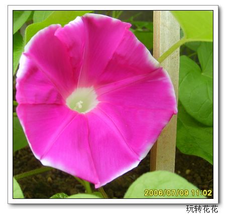 �Ҽҵ�¶̨��7.3���£�