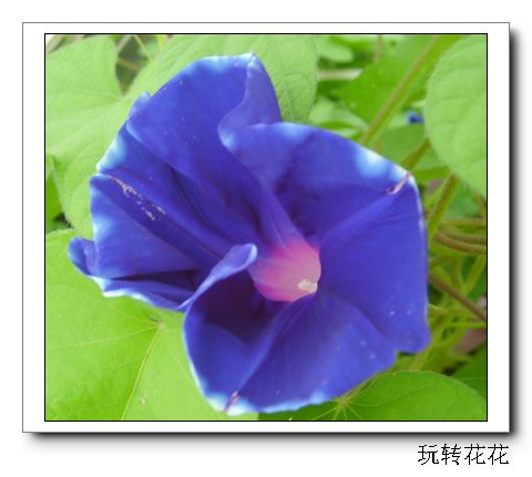 �Ҽҵ�¶̨��P5���£�