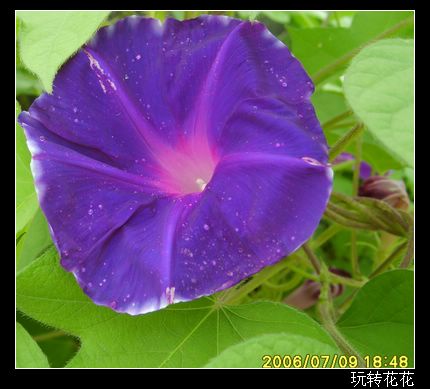 �Ҽҵ�¶̨��P5���£�