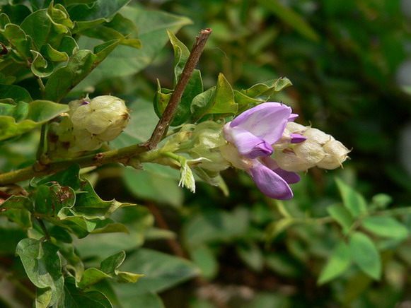 [ԭ��]�ҵĻ���