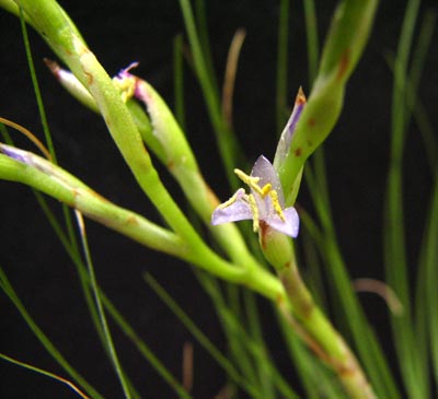 ����ë----������