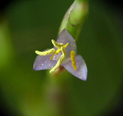 ����ë----������