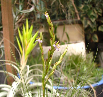 ����ë----������