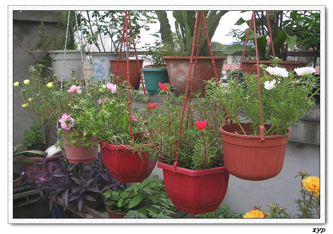 ���ĵ�̫����