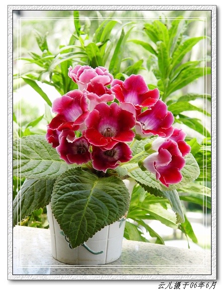 ����ͩ����