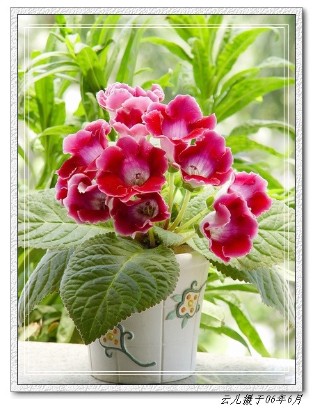 ����ͩ����