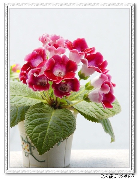 ����ͩ����