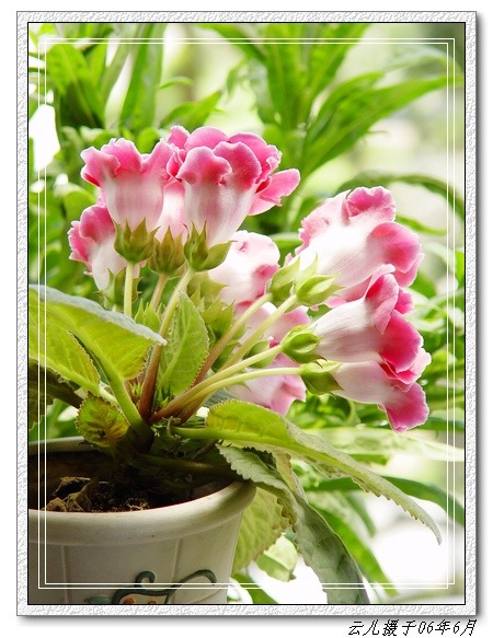 ����ͩ����